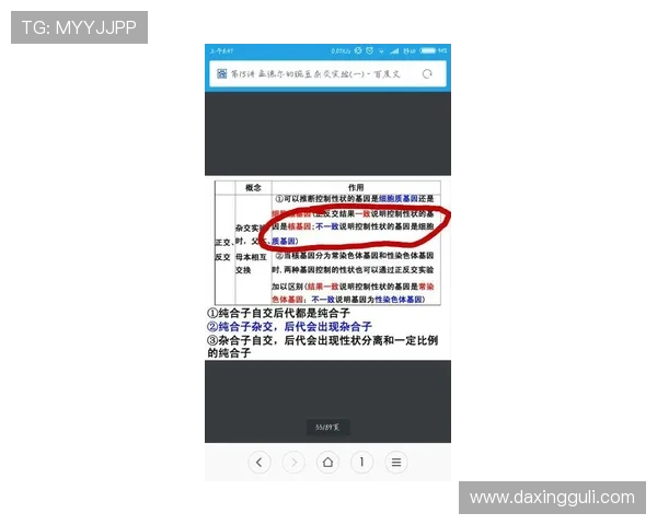亚星正网会员等级划分及不同等级所享权益的详细说明