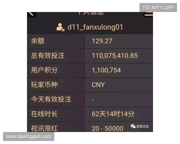 皇冠百家乐官方网站入口，安全登录保障玩家资金安全